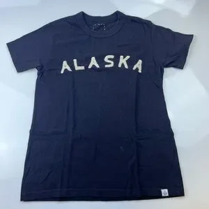 Tシャツ visvim ARASKA tee size 4 black｜トップス